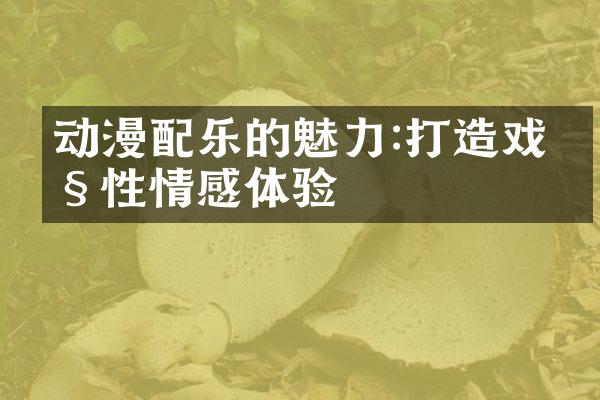 动漫配乐的魅力:打造戏剧性情感体验
