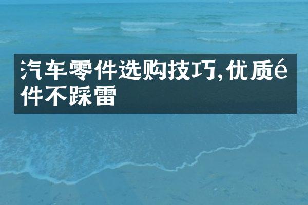 汽车零件选购技巧,优质配件不踩雷