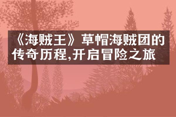 《海贼王》草帽海贼团的传奇历程,开启冒险之旅