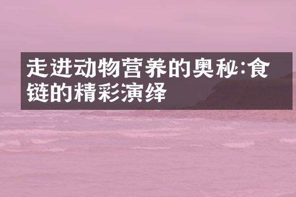 走进动物营养的奥秘:食物链的精彩演绎