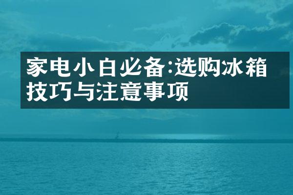 家电小白必备:选购冰箱的技巧与注意事项