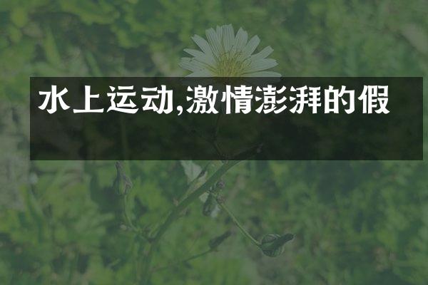水上运动,激情澎湃的假期