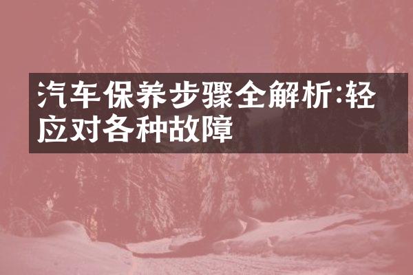 汽车保养步骤全解析:轻松应对各种故障