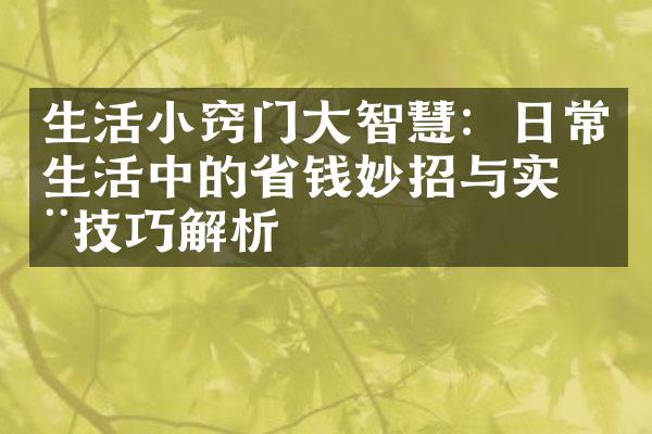 生活小窍门大智慧：日常生活中的省钱妙招与实用技巧解析