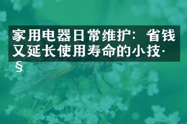 家用电器日常维护：省钱又延长使用寿命的小技巧