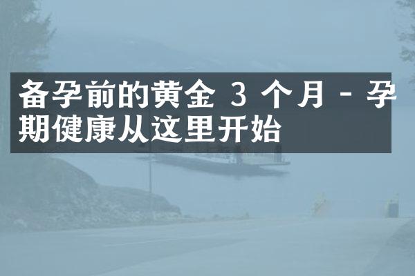 备孕前的黄金 3 个月 - 孕期健康从这里开始