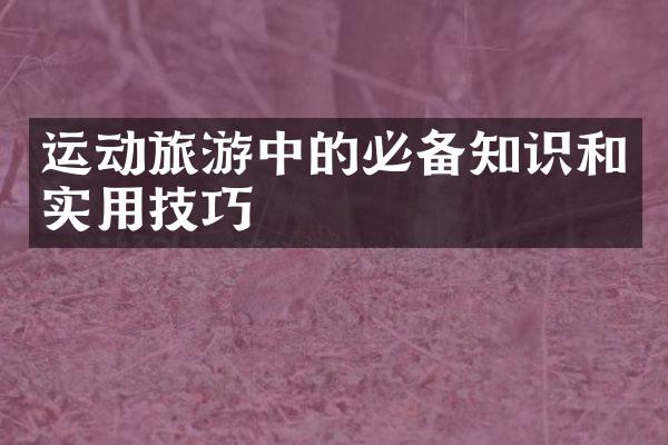 运动旅游中的必备知识和实用技巧