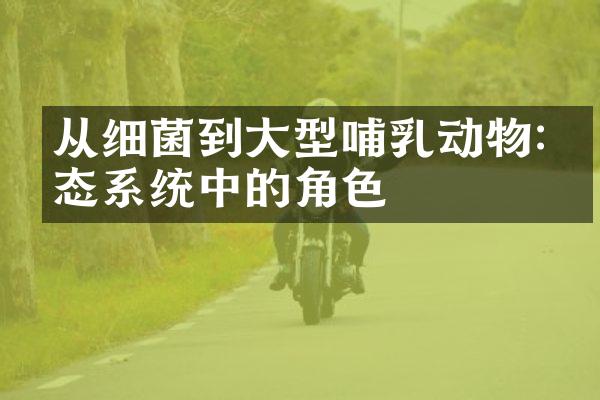 从细菌到大型哺乳动物:生态系统中的角色