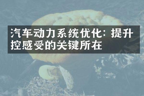 汽车动力系统优化: 提升操控感受的关键所在