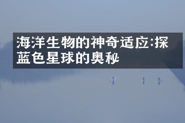 海洋生物的神奇适应:探索蓝色星球的奥秘