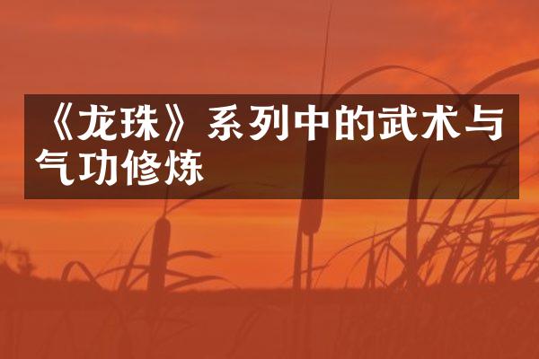 《龙珠》系列中的武术与气功修炼