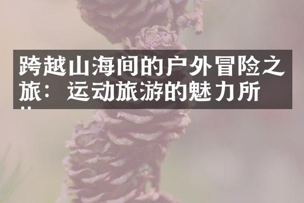 跨越山海间的户外冒险之旅：运动旅游的魅力所在