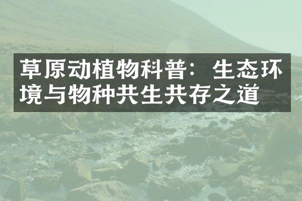 草原动植物科普：生态环境与物种共生共存之道