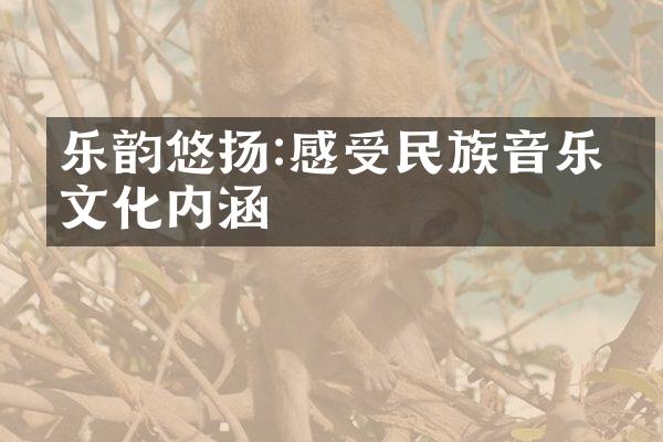 乐韵悠扬:感受民族音乐的文化内涵