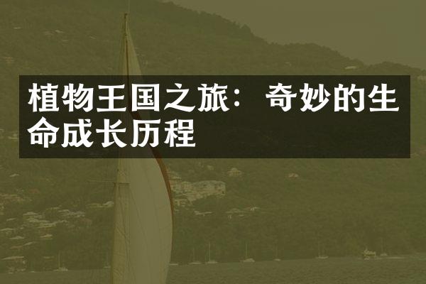 植物王国之旅：奇妙的生命成长历程