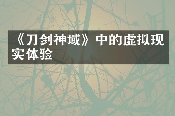 《刀剑神域》中的虚拟现实体验