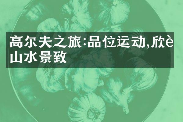 高尔夫之旅:品位运动,欣赏山水景致