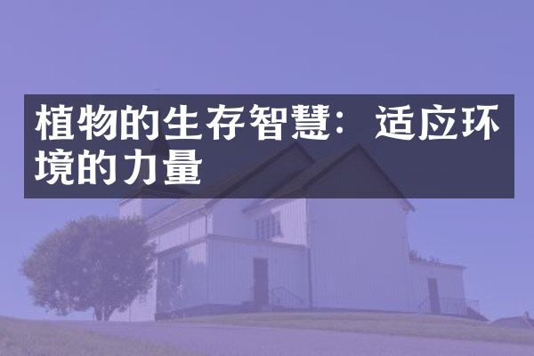 植物的生存智慧：适应环境的力量