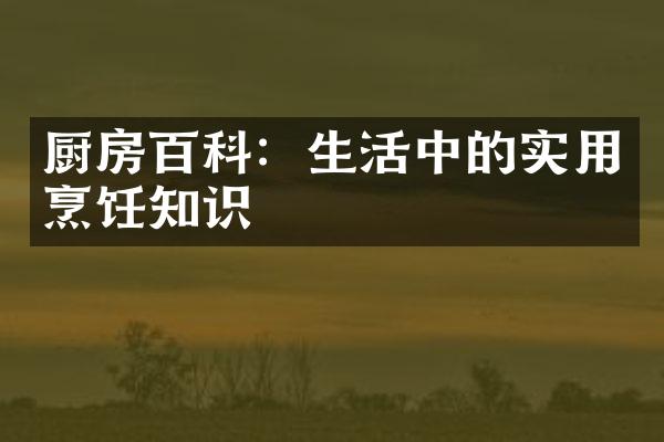 厨房百科：生活中的实用烹饪知识