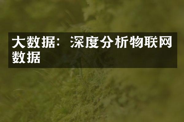 大数据：深度分析物联网数据