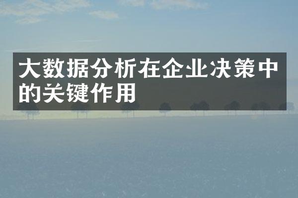 大数据分析在企业决策中的关键作用