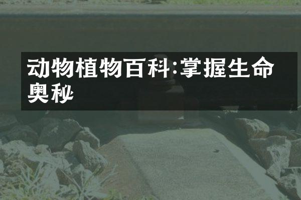 动物植物百科:掌握生命的奥秘