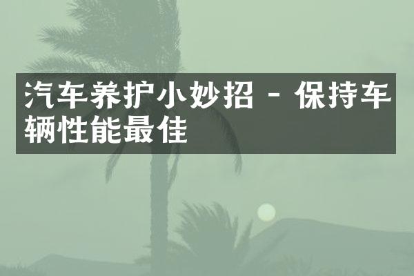 汽车养护小妙招 - 保持车辆性能最佳