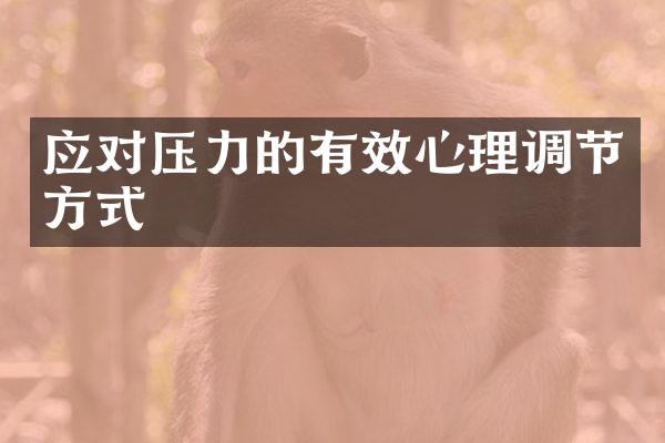 应对压力的有效心理调节方式