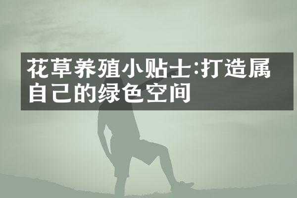 花草养殖小贴士:打造属于自己的绿色空间