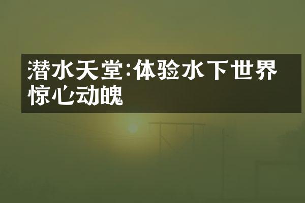 潜水天堂:体验水下世界的惊心动魄