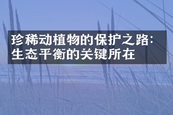 珍稀动植物的保护之路：生态平衡的关键所在
