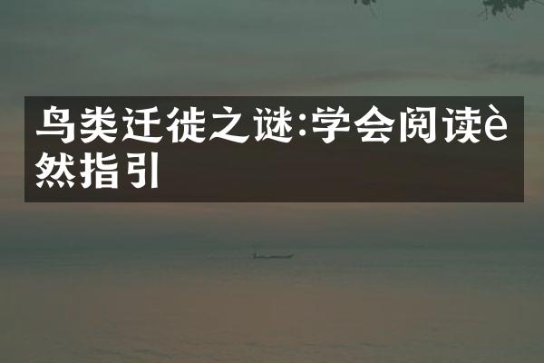 鸟类迁徙之谜:学会阅读自然指引
