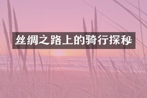 丝绸之路上的骑行探秘