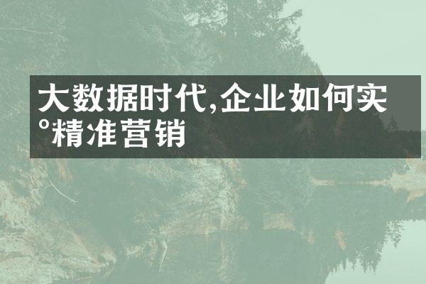 大数据时代,企业如何实现精准营销