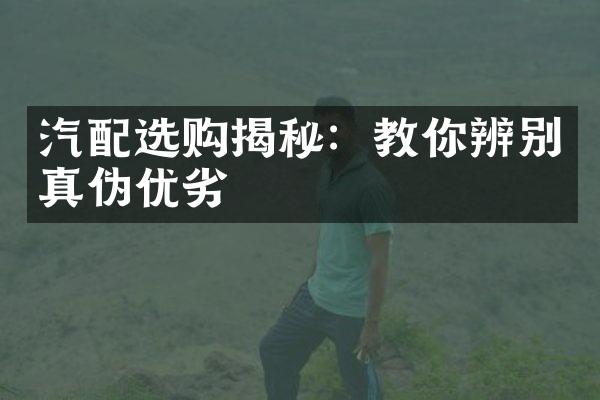 汽配选购揭秘：教你辨别真伪优劣