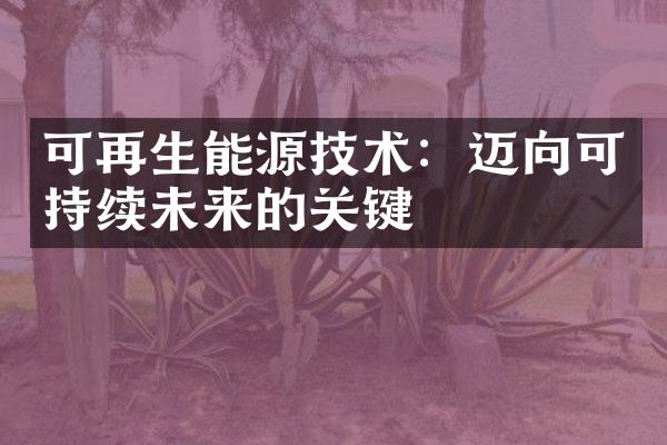 可再生能源技术：迈向可持续未来的关键