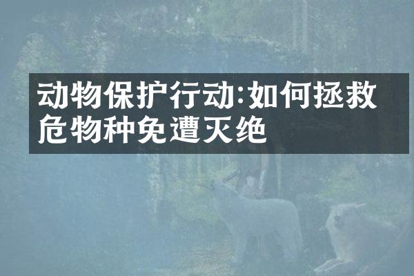 动物保护行动:如何拯救濒危物种免遭灭绝