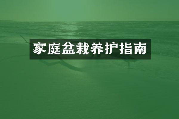 家庭盆栽养护指南