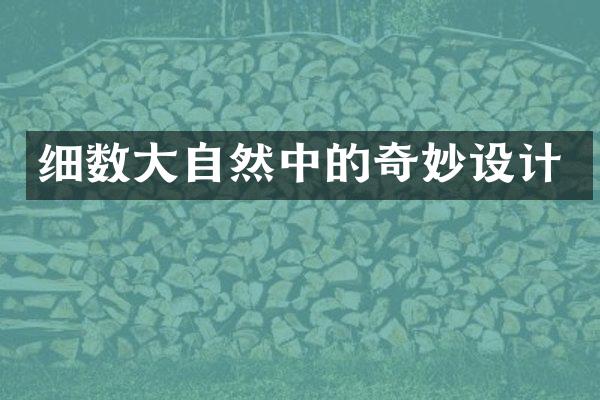 细数大自然中的奇妙设计