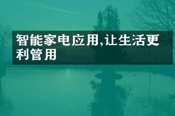 智能家电应用,让生活更便利管用