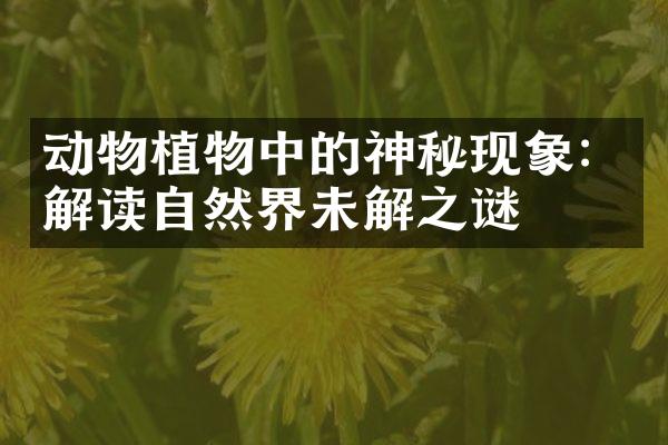 动物植物中的神秘现象：解读自然界未解之谜