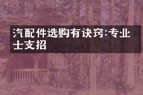 汽配件选购有诀窍:专业人士支招