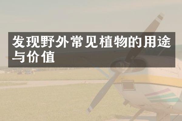 发现野外常见植物的用途与价值