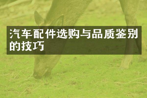 汽车配件选购与品质鉴别的技巧