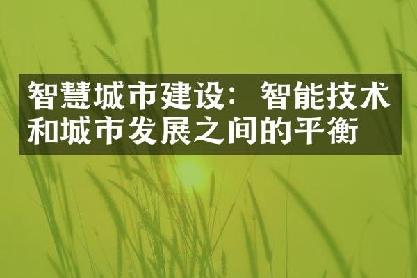 智慧城市建设：智能技术和城市发展之间的平衡