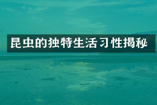 昆虫的独特生活习性揭秘