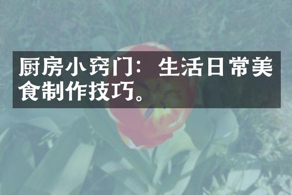 厨房小窍门：生活日常美食制作技巧。