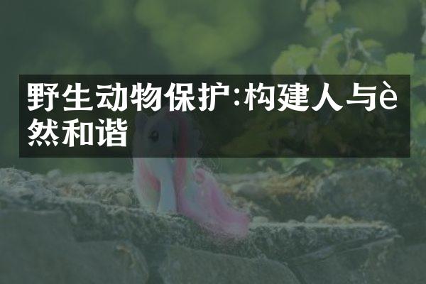 野生动物保护:构建人与自然和谐