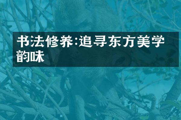 书法修养:追寻东方美学的韵味