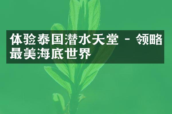 体验泰国潜水天堂 - 领略最美海底世界